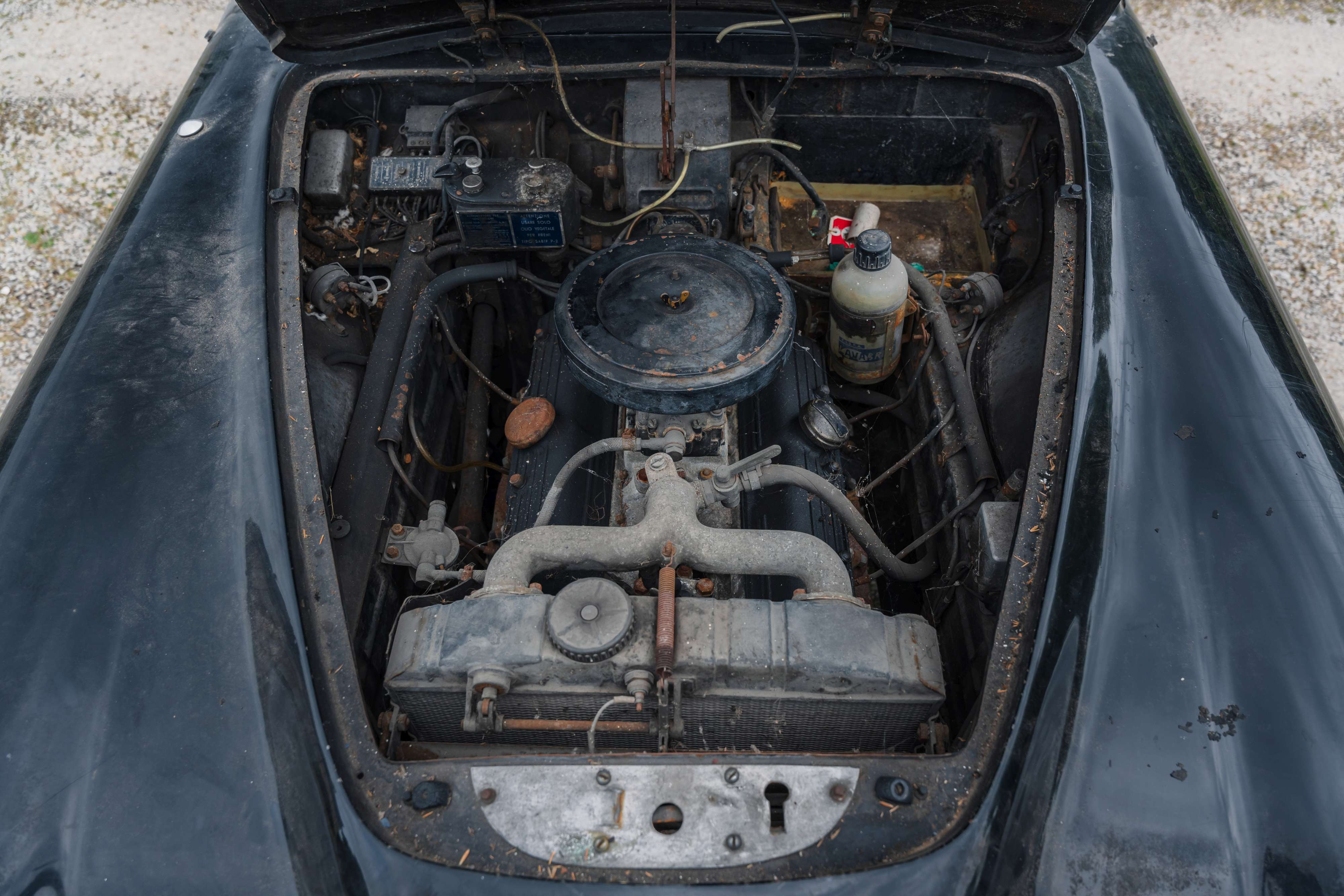 Loaded image